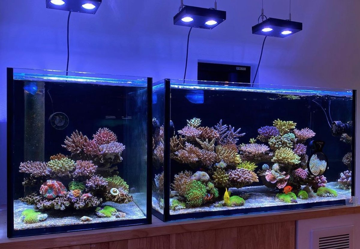 🐬 카모가와 씨월드 이미지 8